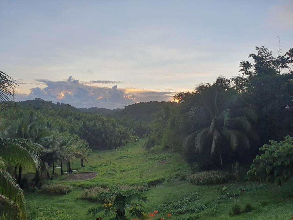 Mango Tree Siargao Villa General Luna  Buitenkant foto